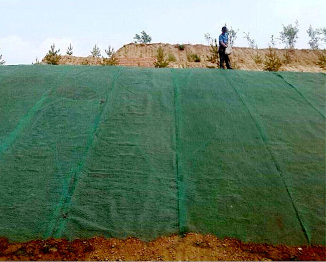 �c(di��n)���鿴Ԕ��(x��)��Ϣ��(bi��o)�}�����Sֲ���W(w��ng)ʩ�� ��x�Δ�(sh��)��2246