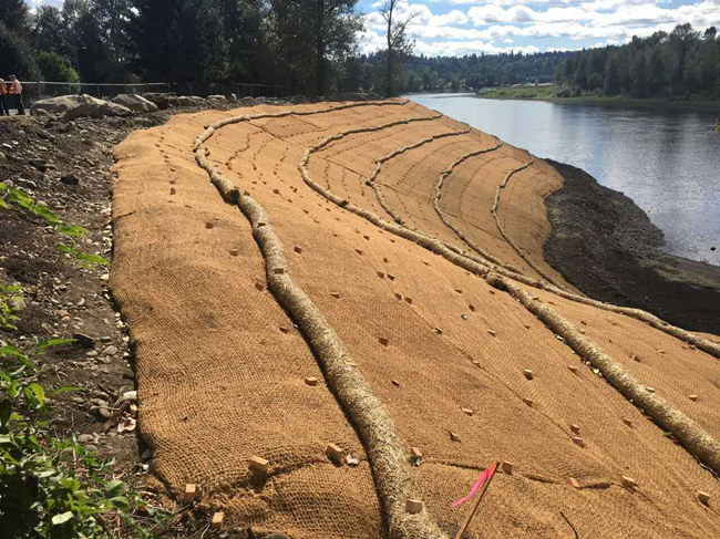 �c(di��n)���鿴Ԕ��(x��)��Ϣ��(bi��o)�}��ֲ��̺ʩ�� ��x�Δ�(sh��)��2034